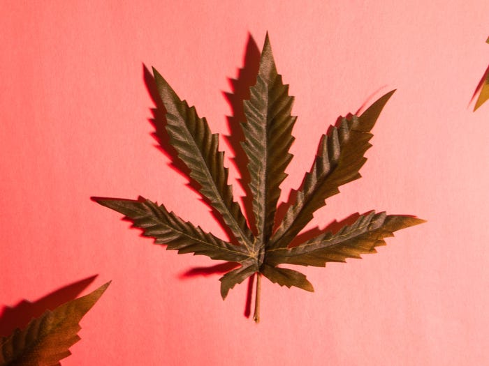 Why Callie’s Is the ‘Dispensary Near Me Open Now’ You’ve Been Searching For